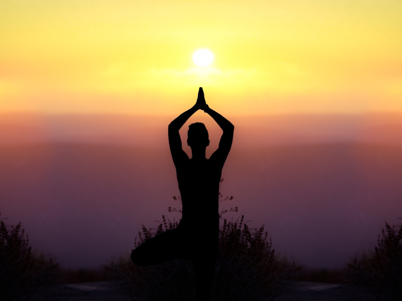 Quel est le yoga le plus puissant ? Trouve le style qui te correspond !