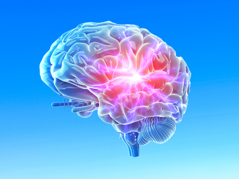 Comment le yoga transforme votre cerveau (ce que disent les neurosciences)