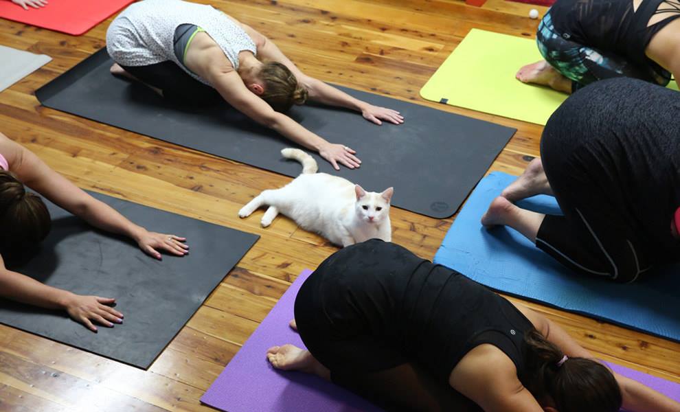 blog français sur les vetements et le yoga
